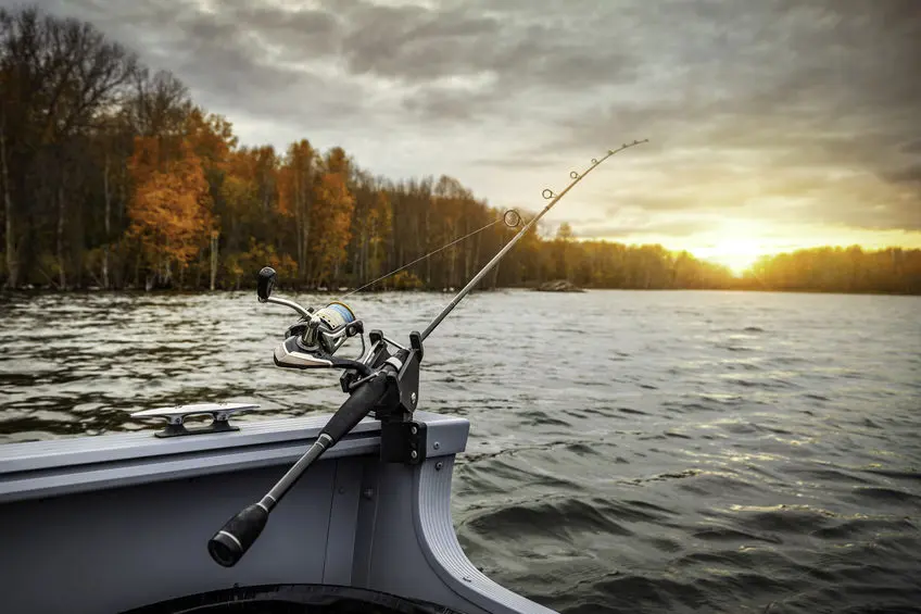 Follow the Bait: A Fall Bass Fishing Strategy for Lake Oconee